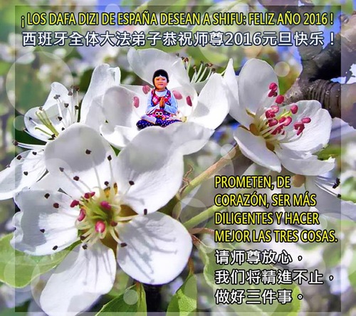 Image for article Los practicantes de Falun Dafa de España, Polonia y otros países desean respetuosamente al Maestro Li Hongzhi un Feliz Año Nuevo