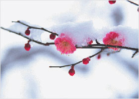 Image for article “Paz interior, salud y felicidad. Estas son las cosas que me dio Falun Gong”