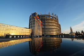 Image for article Europa: Eurodiputados firman declaración que exige acción para poner fin a la sustracción forzada de órganos en China