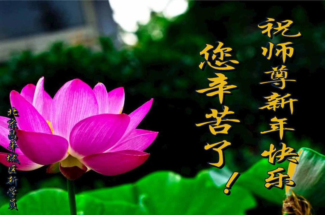 Image for article Los practicantes de Falun Dafa desean respetuosamente un Feliz Año Nuevo al Venerable Maestro Li (24 saludos)