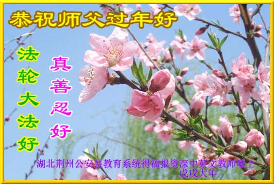 Image for article ¡​Los practicantes de Falun Dafa de toda China desean al Venerado Maestro Li un Feliz Año Nuevo Chino!