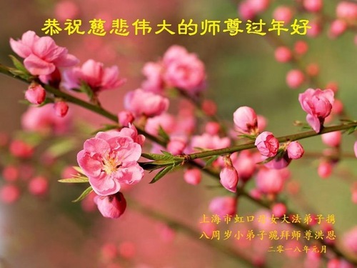 Image for article Los jóvenes practicantes respetuosamente desean al Maestro Li Hongzhi un Feliz Año Nuevo Chino (18 saludos)