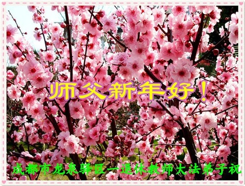 Image for article Practicantes de Falun Dafa en el sistema de educación en China desean respetuosamente al Maestro Li Hongzhi un Feliz Año Nuevo Chino (22 saludos)