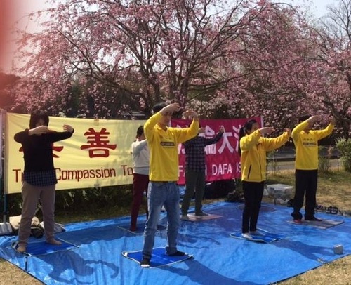 Image for article Japón: Dando a conocer Falun Dafa durante el Festival de la Flor del Cerezo