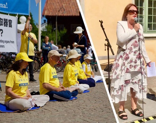 Image for article Suecia: Generando conciencia sobre Falun Dafa en la “Semana de los políticos”