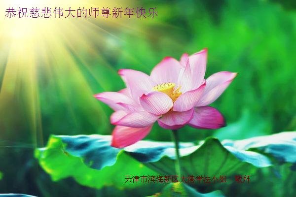 Image for article ¡Practicantes de 30 provincias de China desean al Maestro Li un Feliz Año Nuevo!