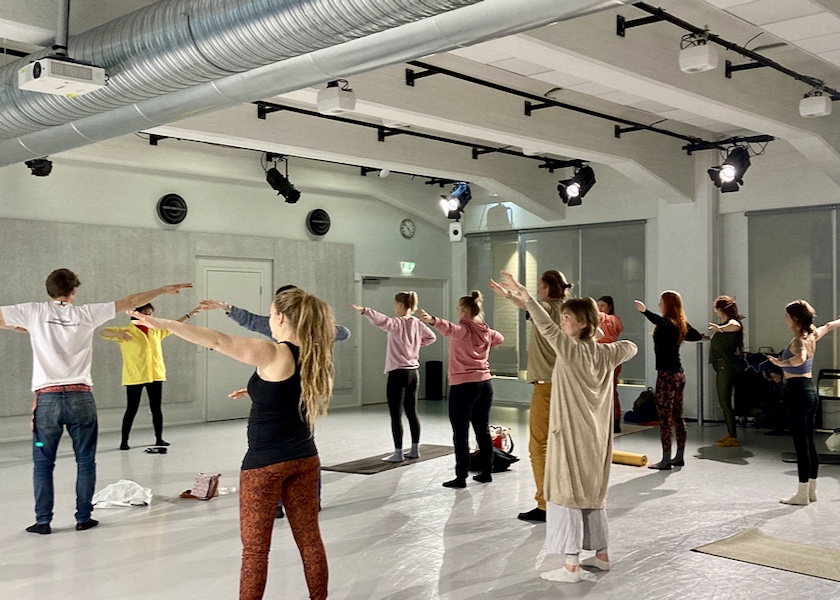 Image for article ​Finlandia: Visitantes al Festival de Yoga aprenden los ejercicios de Falun Dafa