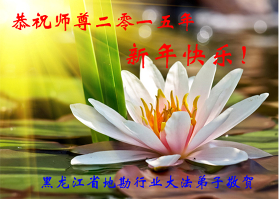 Image for article Practicantes de Falun Dafa de varias profesiones desean respetuosamente al Maestro Li un feliz año nuevo (35 saludos)