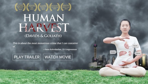 Image for article El film 