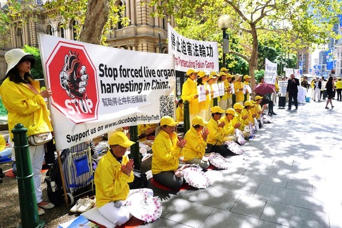 Image for article Australia: Protesta pública en Sídney por los crímenes de sustracción de órganos en China (Fotos)