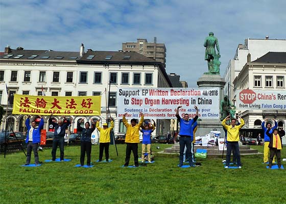 Image for article Veinte miembros del Parlamento Europeo emiten una Declaración para investigar la Sustracción de Órganos en China