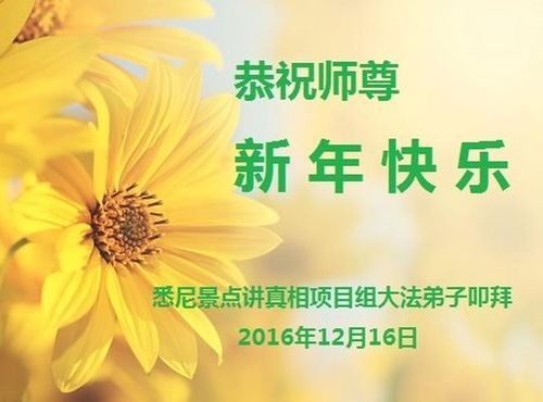 Image for article Practicantes de Falun Dafa que trabajan en distintos grupos de aclaración de la verdad fuera de China envían sus saludos al venerable Maestro Li Hongzhi