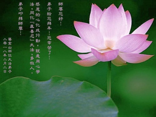 Image for article Los practicantes de Falun Dafa de 28 países desean al Maestro Li un Feliz Año Nuevo Chino