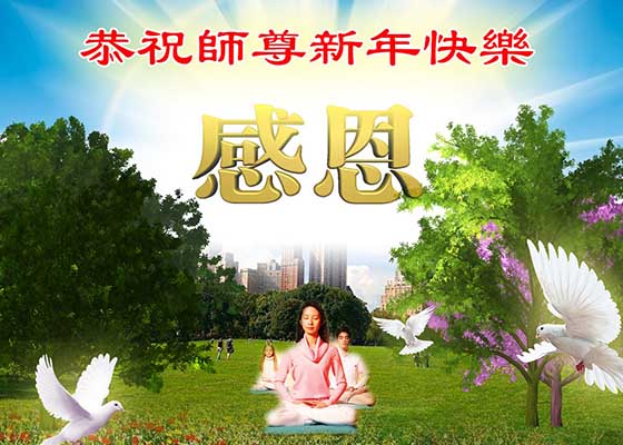 Image for article Los practicantes de Falun Dafa de más de 40 profesiones desean respetuosamente al Maestro Li un Feliz Año Nuevo