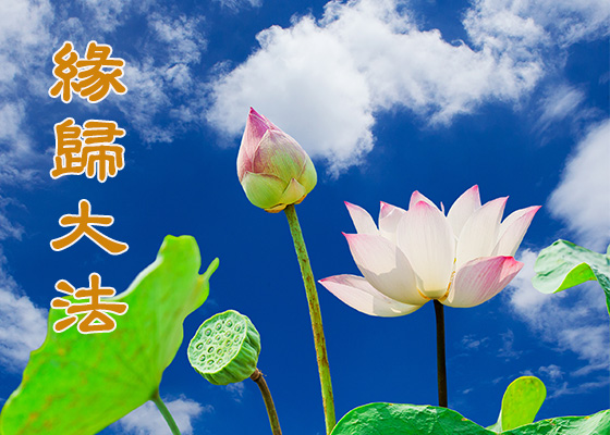 Image for article Mi vida cambió al cultivarme en Falun Dafa