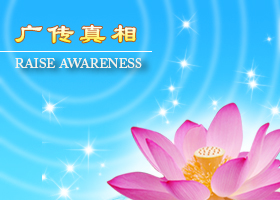 Image for article Alemania: Los practicantes de Falun Dafa expresan su agradecimiento al Maestro Li por Internet y comparten sus experiencias de cultivación