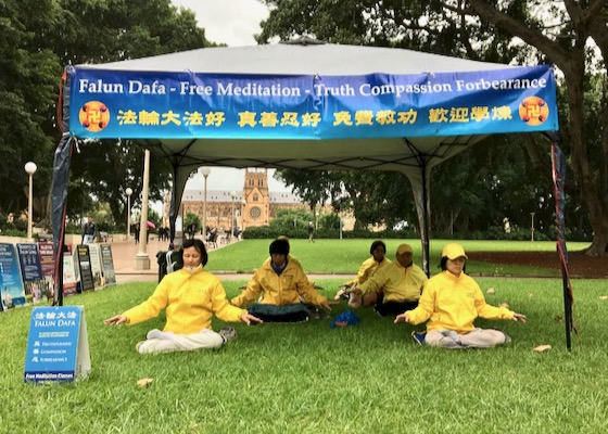 Image for article Sídney, Australia: una meditación que trae paz y felicidad