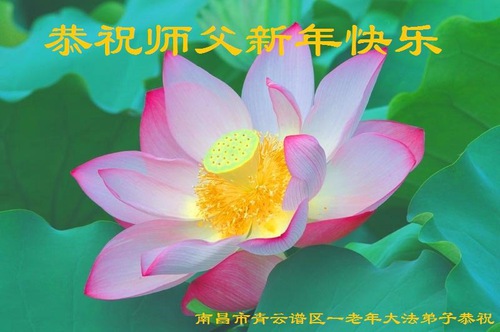 Image for article Practicantes de Falun Dafa ancianos, algunos de cien años, relatan experiencias milagrosas con Falun Dafa en sus saludos de Año Nuevo Chino al Maestro Li