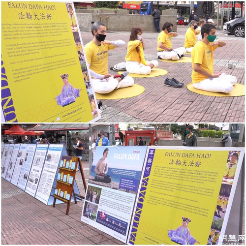 Image for article ​Brasil: los practicantes realizan varios eventos para celebrar el Día Mundial de Falun Dafa