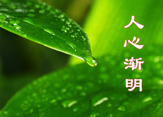 Image for article [Celebrando el Día Mundial de Falun Dafa] Practicante de Falun Dafa octagenario: Dafa está salvando a la gente en el mundo del engaño