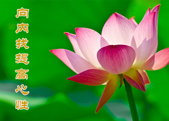 Image for article Milagros y gracia: Respuestas a los artículos con motivo de la Celebración del Día Mundial de Falun Dafa