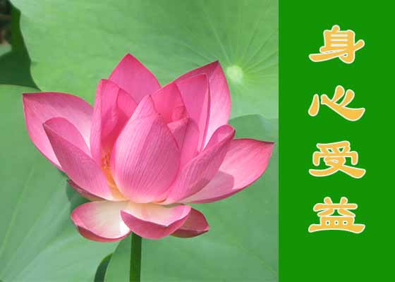 Image for article [Celebrando el Día Mundial de Falun Dafa] De la mujer más ruda a la mejor vecina y amiga de la aldea