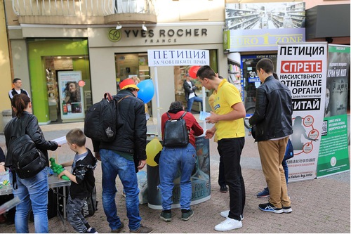 Image for article Bulgaria: los practicantes realizan eventos para celebran el Día de Falun Dafa