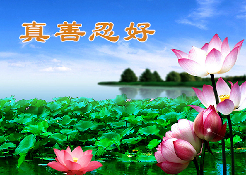 Image for article Taiwan: Lectores del sitio web expresan su agradecimiento por los artículos que celebran el Día Mundial de Falun Dafa