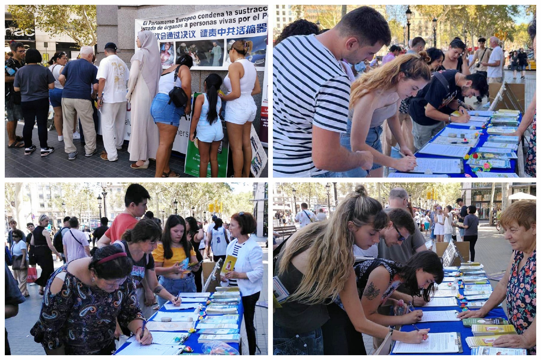 Image for article Barcelona, España: la gente firma una petición para pedir el fin de la persecución a Falun Gong