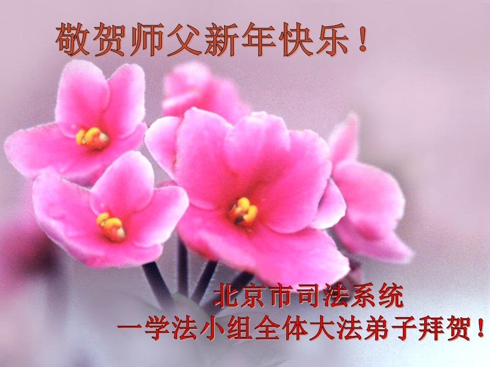 Image for article ​Los practicantes y simpatizantes de Falun Dafa que trabajan en el sistema judicial de China desean al venerado Shifu un feliz Año Nuevo