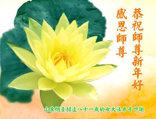 Image for article Octogenarios, nonagenarios y centenarios desean un feliz Año Nuevo a Shifu