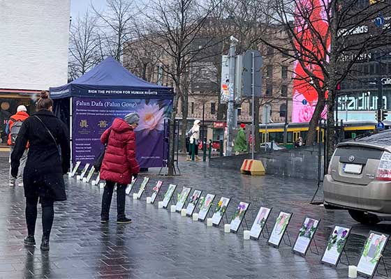 Image for article Finlandia: Eventos en Helsinki conmemoran la Apelación Pacífica del 25 de Abril