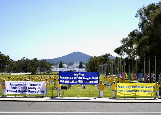 Image for article Canberra, Australia: Los practicantes de Falun Dafa realizan una manifestación para pedir el fin de la sustracción forzada de órganos por parte del Partido Comunista Chino