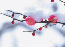 Image for article Recordando a Shifu enseñando el Fa en la Conferencia para Asistentes en Changchun
