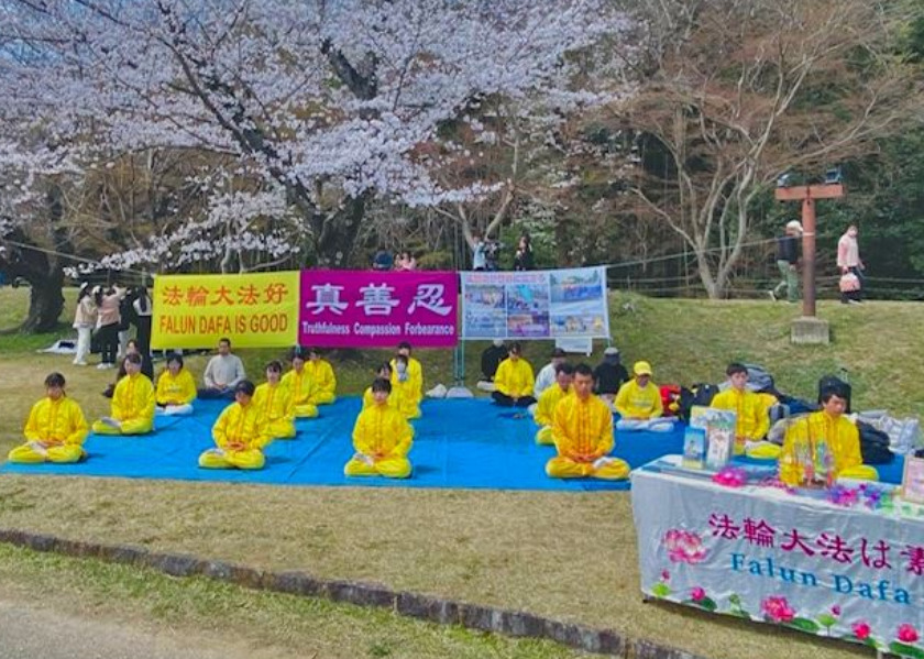 Image for article Ciudad de Toyota, Japón: Presentación de Falun Dafa en el Festival de la Flor del Cerezo Sakura