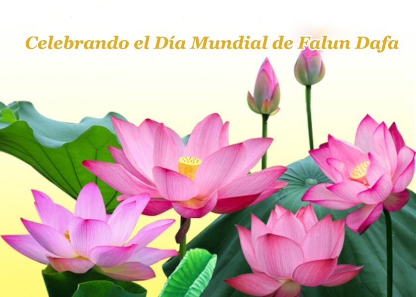 Image for article Los practicantes en Australia expresan su profunda gratitud a Shifu