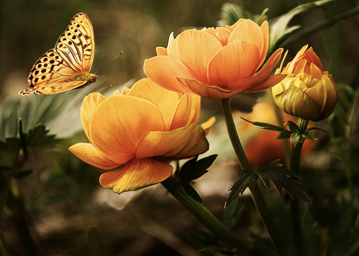 Image for article Falun Dafa abrió el corazón de mi hijo