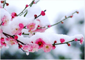 Image for article Validando Dafa con nuestras palabras y acciones