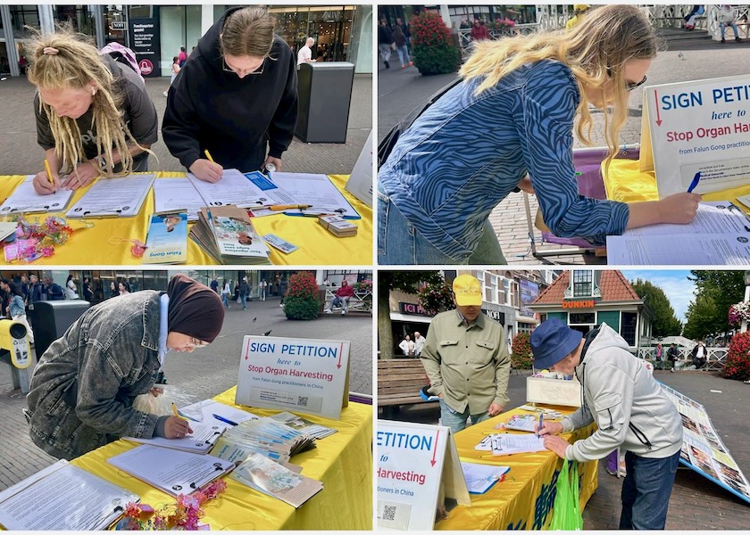 Image for article Países Bajos: Turistas en Zaandam se informan sobre Falun Dafa
