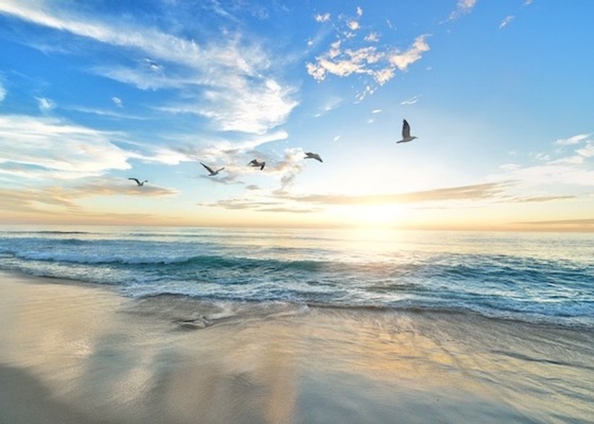 Image for article ​Practicar Falun Dafa es realmente maravilloso