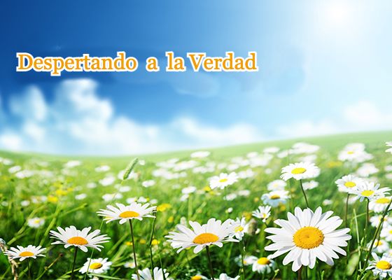 Image for article Eliminando mis apegos humanos y ayudar a Shifu a salvar a las personas