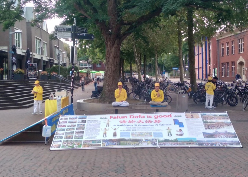 Image for article Condenan la persecución a Falun Dafa durante eventos en los Países Bajos