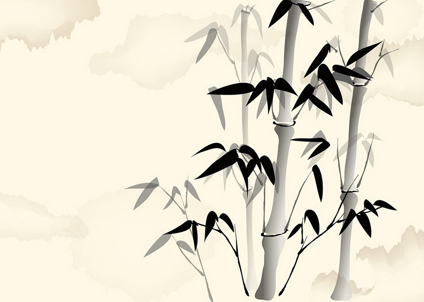 Image for article Practicando la cultivación: Un viaje de regreso a nuestro origen (Parte 4)