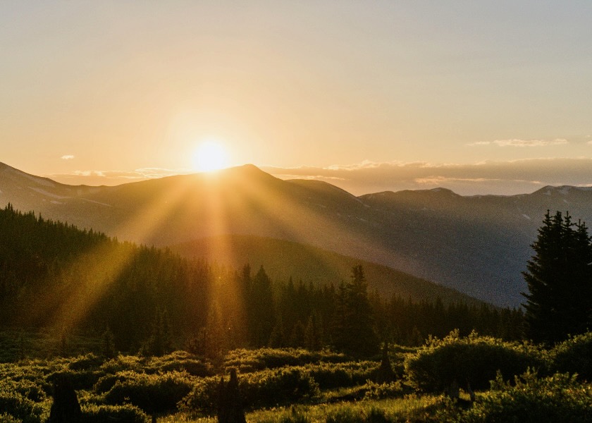 Image for article Cuando nada funciona, debemos confiar en nuestra conciencia