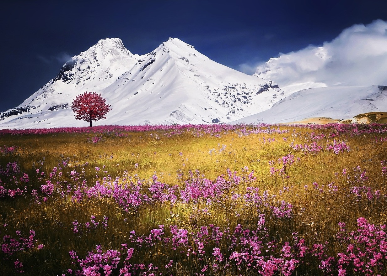 Image for article Regresando a Dafa y reanudando con diligencia la cultivación