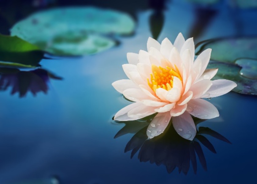 Image for article Un recluso aprende Falun Dafa en prisión