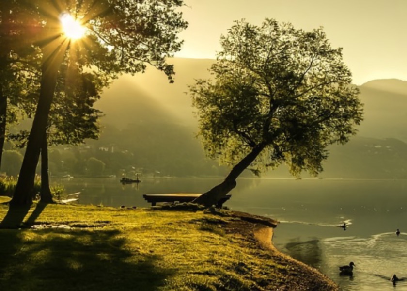 Image for article Mi familia se beneficia de Falun Dafa