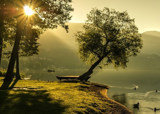 Image for article Recordando el pasado con infinita gratitud a Shifu