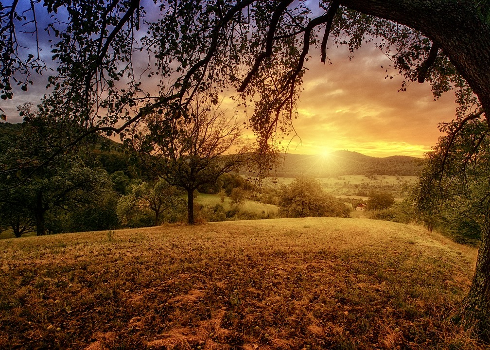 Image for article ​Falun Dafa es como un cálido rayo de sol