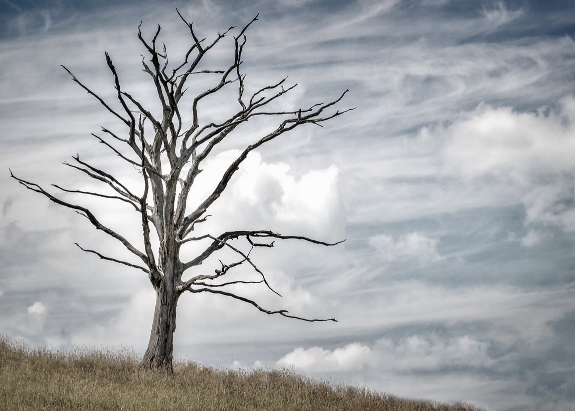 Image for article Mi hermano me ayudó a eliminar mi apego al interés propio